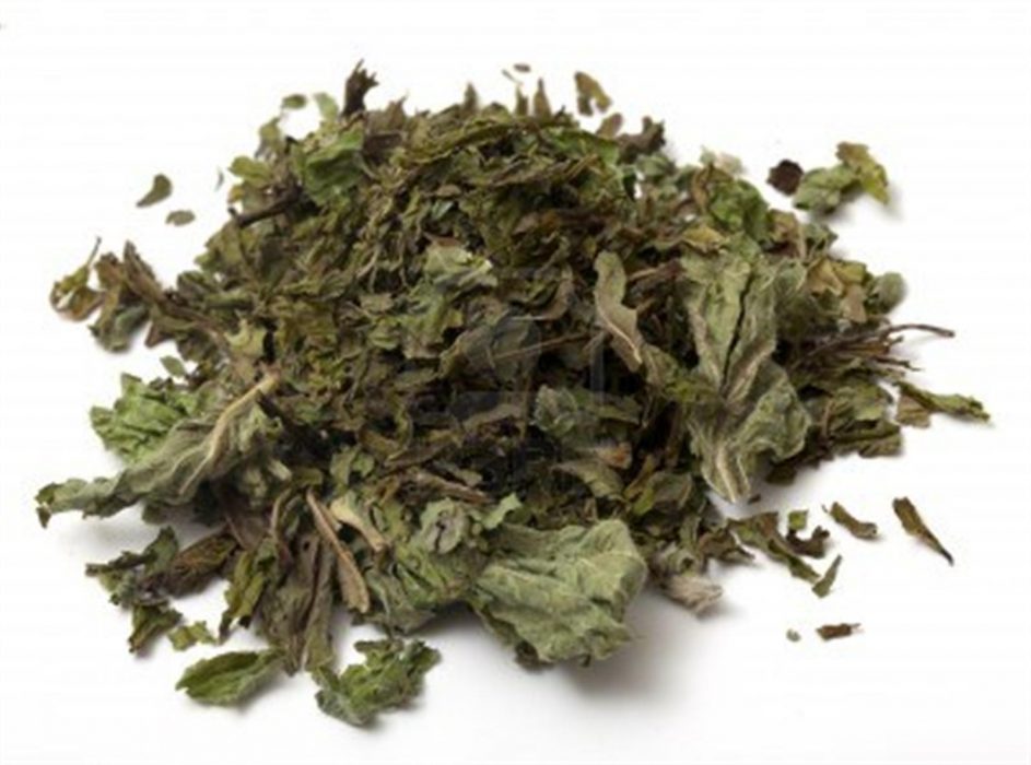 Feuilles de menthe séchées
