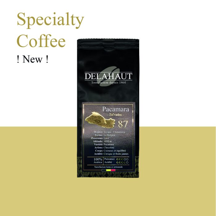 Pacamara  *Specialty Coffee*